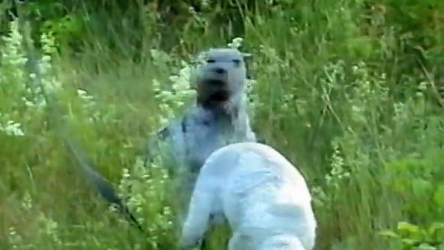 06-.07- 2005 часть 2 смотреть онлайн