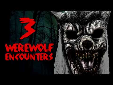 3 TERRIFYING DOGMAN & WEREWOLF ENCOUNTERS (Dogman, Werewolf, Demon)