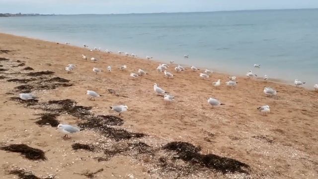 Бердянск. 28.11. 2022 смотреть онлайн