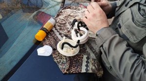 ✅Замена топливного фильтра тонкой и грубой очистки Рено Логан,  Лада Ларгус