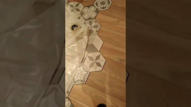 Соединение плитки с ламинатом.красиво но очень рискованно.