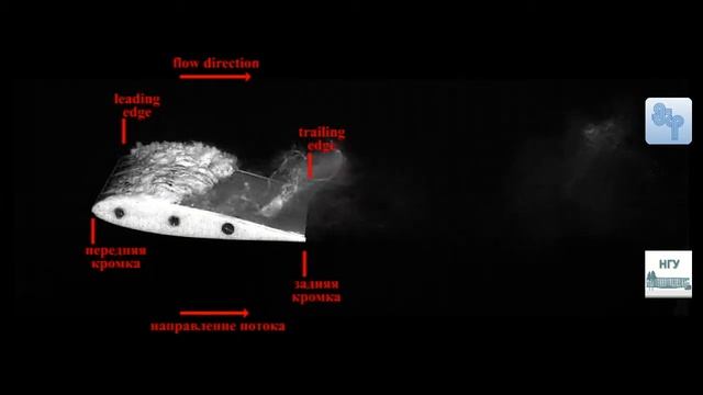 NACA0015 series hydrofoil // Облачная кавитация на гидрокрыле NACA0015