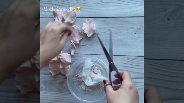 Тестирование новых Вайнеров гладиолус? смотреть онлайн