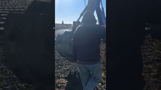 Выкорчёвка сада для закладки маточных рядов малины и клубники смотреть онлайн