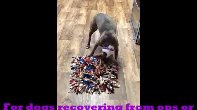 Sookie's Boredom Buster Brain Games - 2: Snuffle Mat смотреть онлайн