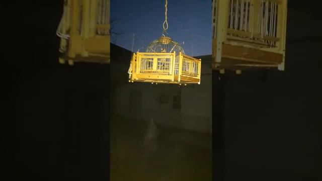 7 апреля 2019 г. смотреть онлайн