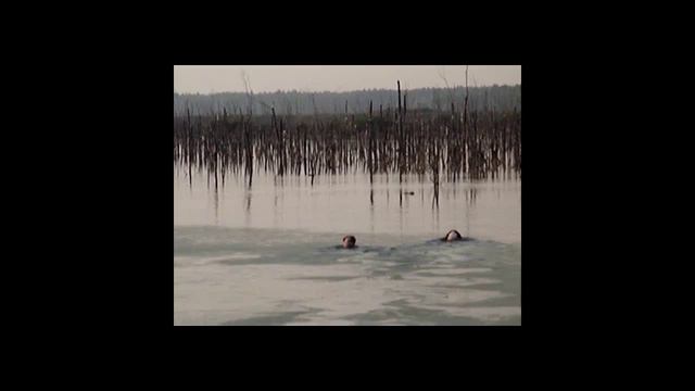 Охота с Акитой и Артусом смотреть онлайн