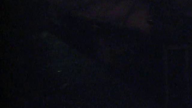 обзор на цирк-шапито олимпия в шолоховском смотреть онлайн