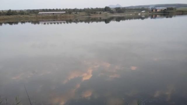 Пруд с. ГРАЖДАНСКОЕ Июль 2018 смотреть онлайн