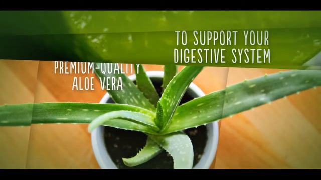 Herbal Aloe Concentrate(HAC) Product смотреть онлайн