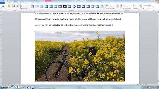 Using Word 2, inserting pictures: Mini Lectures Learn English смотреть онлайн