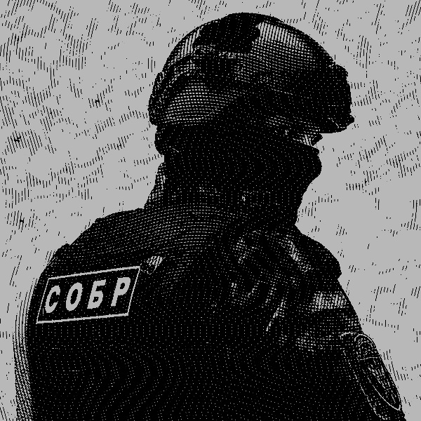 SOBR.mp4 смотреть онлайн
