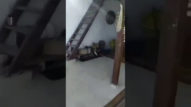 даргинская песня смотреть онлайн