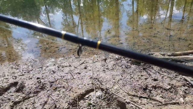 Любительская рыбалка в Германии# Лещ смотреть онлайн