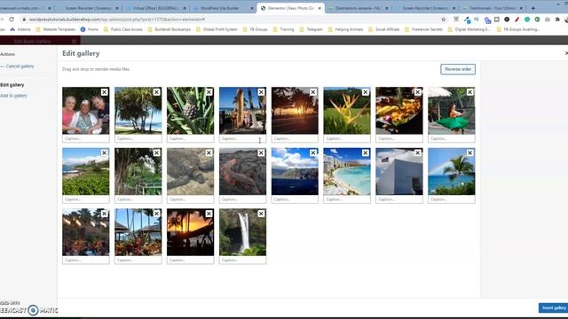 How To Add A Basic Photo Gallery To Your Wordpress Site Using Elementor смотреть онлайн