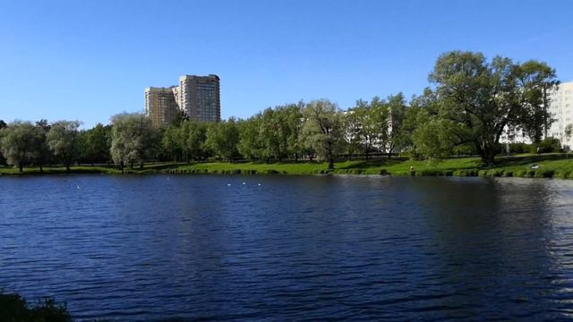 Отдыхаем около Родео Драйв смотреть онлайн