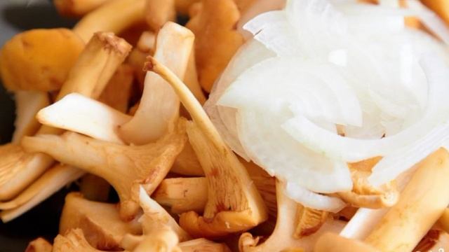 Сборник рецептов