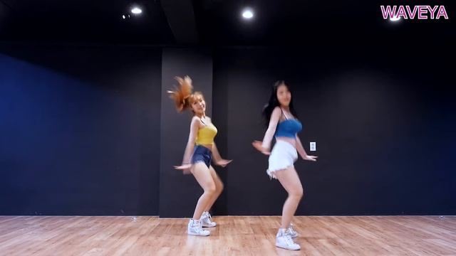 BLACKPINK - Forever Young DANCE PRACTICE 블랙핑크 WAVEYA