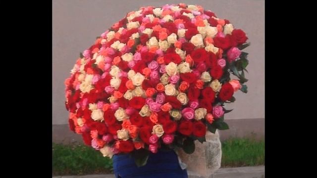 SUPER BUKET 13 смотреть онлайн