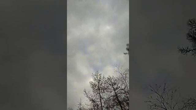 Гаршнеп смотреть онлайн