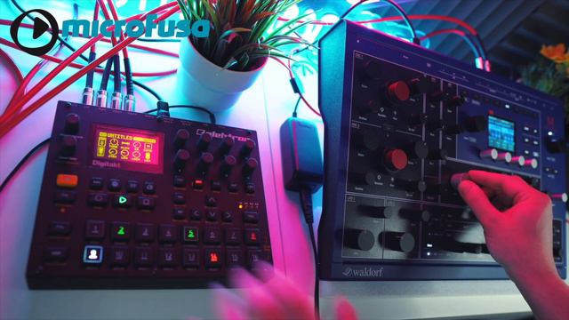 WALDORF M - TECHNO PATTERN #01