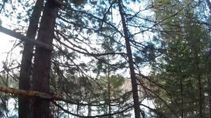 Охота на медведя в Сибири. Весна 2021