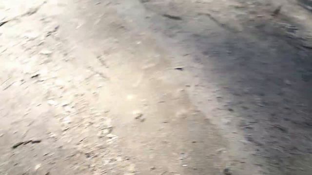 VLOG: Не доехали до Сестрорецка/Чуть не утонула в болоте/Побег от клещей смотреть онлайн