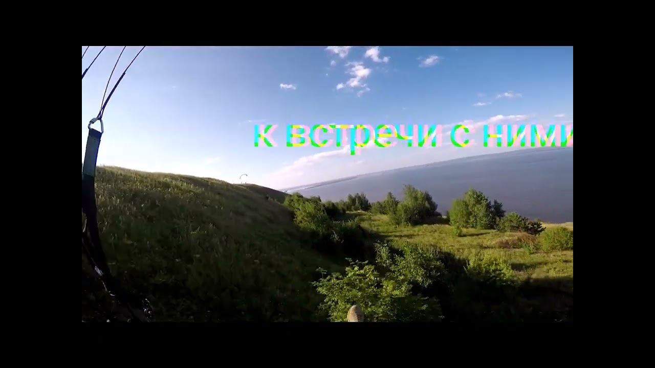 кусты