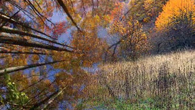 Ekaterina Savinova sings "Serenade" of Schubert смотреть онлайн