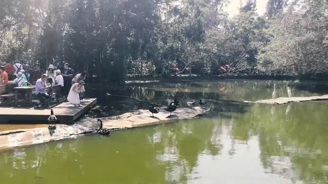 Зоопарк Хайкоу остров Хайнань