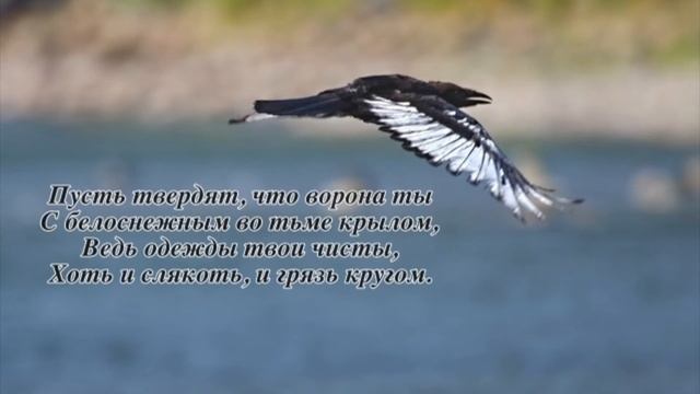 Ты особенный. Елена Ваймер на слова Анны Бовель смотреть онлайн