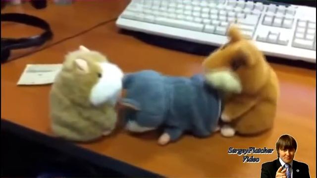 Милые хомяки