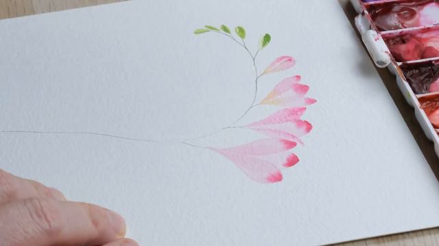 How to Paint a Watercolour Freesia смотреть онлайн