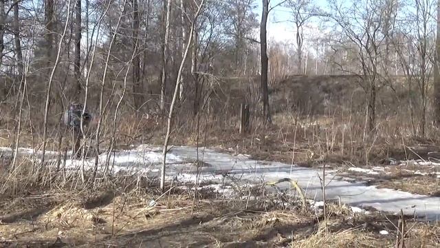 Белоозёрский, Воскресенский р-н. Весенний лес. Подмосковье. смотреть онлайн