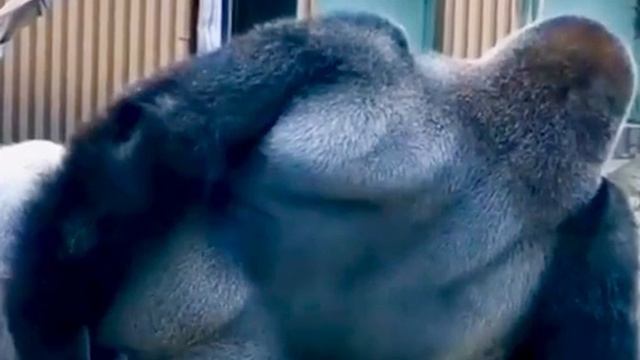 чем я занимаюсь в отпуске смотреть онлайн