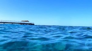 НЕ ПЕРЕПЛАЧИВАЙТЕ Titanic Beach или Titanic Palace? Выводы/Ужин в Titanic Palace 5 Хургада/ Египет