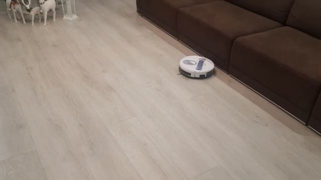 Запуск с зарядной станции робота пылесоса Mamibot 680s смотреть онлайн