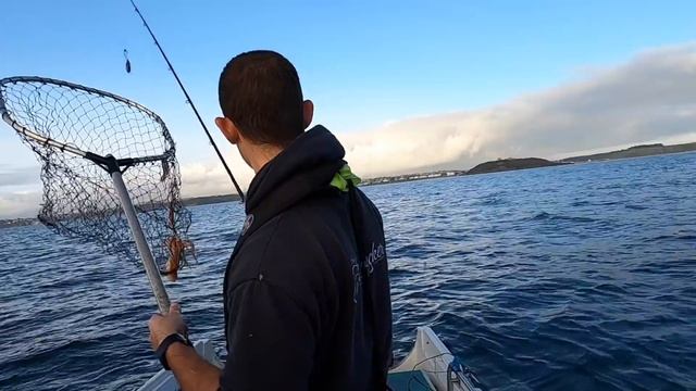 How to Catch Octopus, Cuttlefish and Squid - Winter Sea Fishing смотреть онлайн