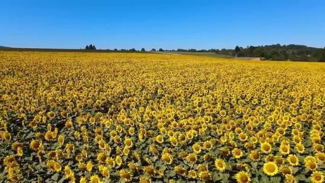 EL PODER DEL PENSAMIENTO POSITIVO audiolibro completo en español voz humana смотреть онлайн