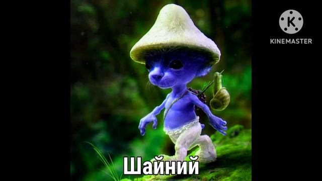 Новые виды Шайлушая смотреть онлайн