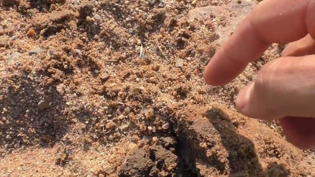СБРОСИЛИ ВОДУ, А НА ДНЕ ВЗОРВАННЫЕ ФУНДАМЕНТЫ, СТАРИННЫЕ МОНЕТЫ! смотреть онлайн