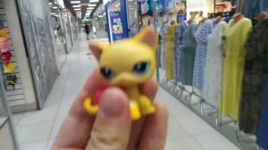 LPS: ищем в магазине Детский мир!