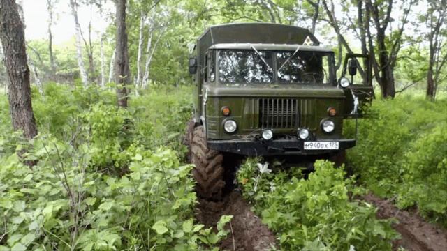 Пришел ЛЕСНИК - часть 1» Чем больше в армии дубов - тем крепче наша оборона!» смотреть онлайн