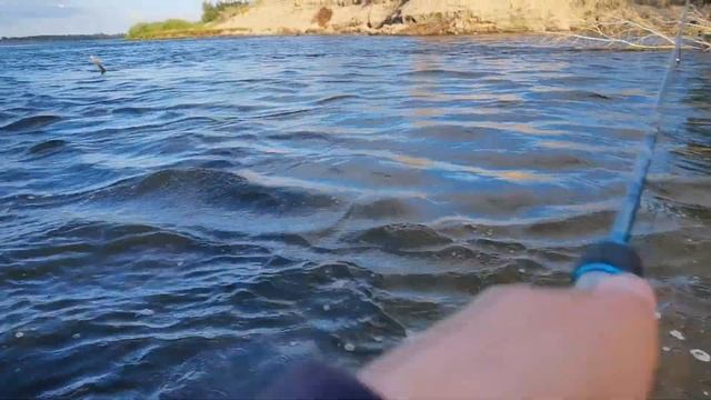 Вся рыба в корягах как поймать Голавля на Волге смотреть онлайн