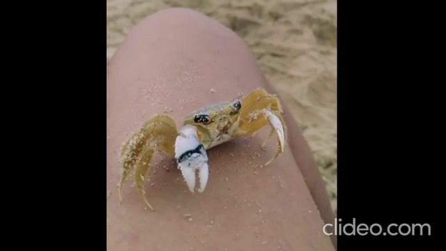 утро 01.08 смотреть онлайн