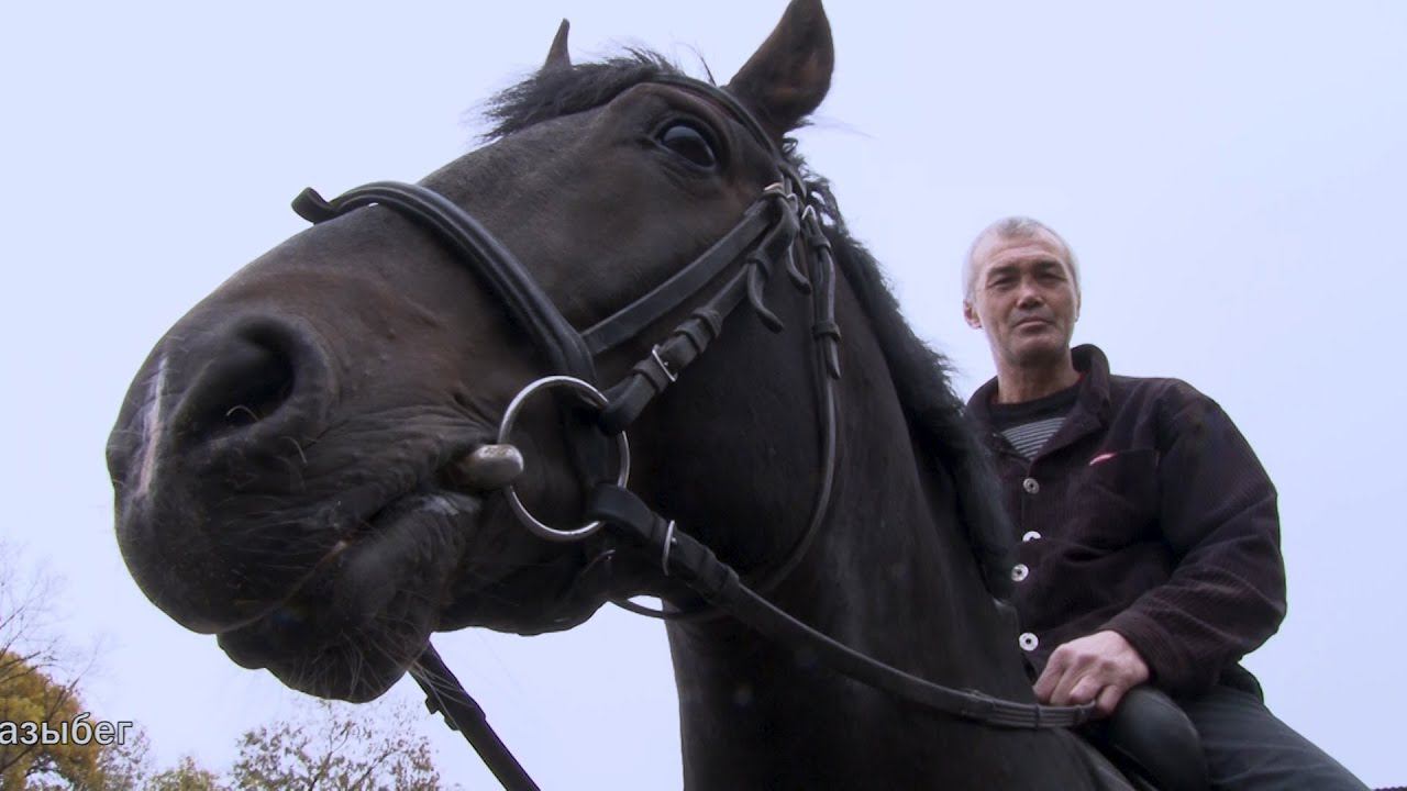 Аудаг (ХРАНИТЕЛЬ) Арсен Дзагуров - Саргъ ( седло для коня) смотреть онлайн