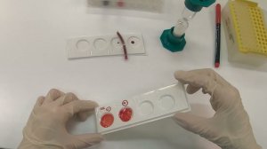 Проба на совместимость на плоскости