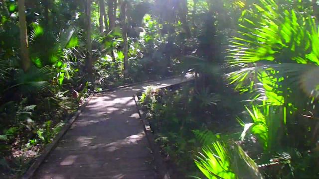 🔴 США ДЖУНГЛИ ЖИЗНЬ УДАЛАСЬ 🔴 С НАТАШЕЙ на Wekiva Springs Florida 07.07.2017 смотреть онлайн