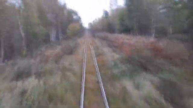 Тёсово 2018. Полная поездка Тёсово-Торфоразработки-Тёсово-Рогавка смотреть онлайн