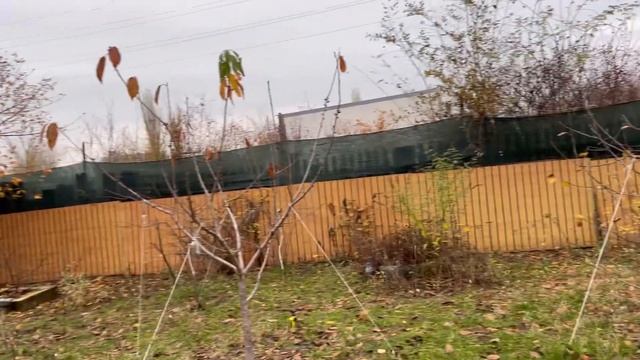 Как грустно что осень! смотреть онлайн